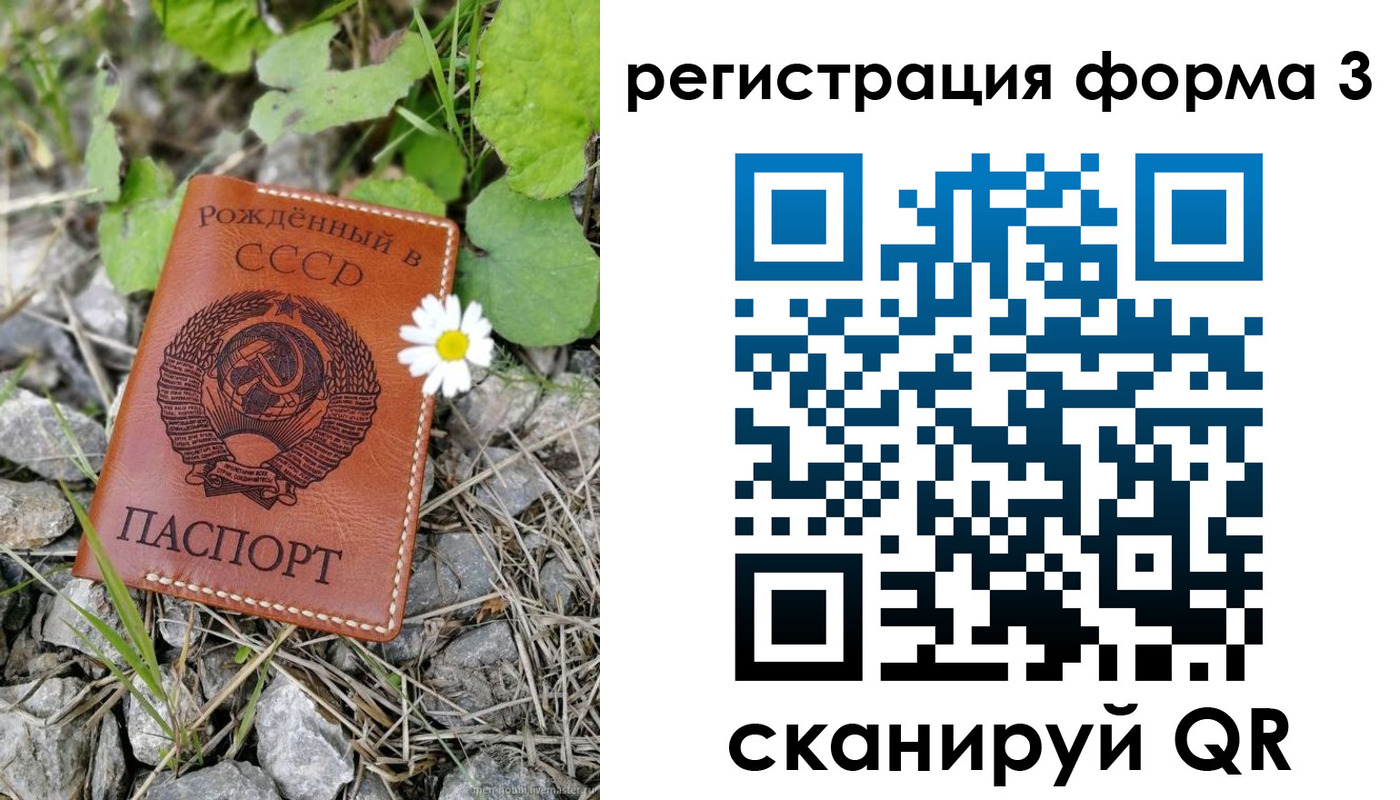 форма 3 в Николаевске-на-Амуре